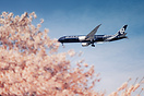 Boeing 787-9 Dreamliner
