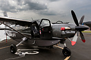Quest Kodiak 100