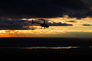 Robinson R-44