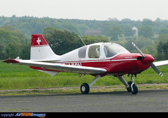 Beagle B121 Pup