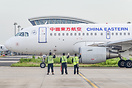Airbus A319-115