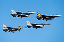 Formation of the ThunderTigers