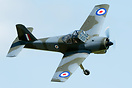 Percival P-56 Provost T1