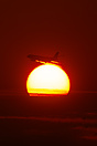 Airbus A330-243