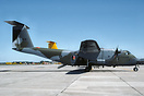 the later wrap around camo - 424 squadron