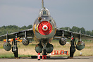 Volkel Open Day 2007