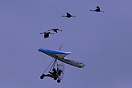 The amazing Christian Moullec and his Crane birds display at 'Fly to t...