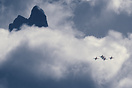 Northrop - F-5 Freedom Fighter