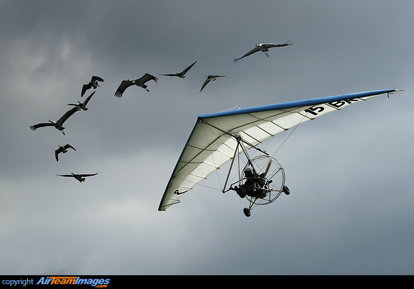 Christian Moullec displaying its marvellous formation (geese and cranes)around his microlight... Christian Moullec