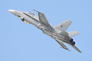 EF-18M Hornet