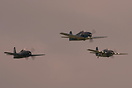 Bearcat, Hellcat and Wildcat in close formation