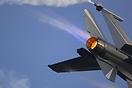 F-16AM Fighting Falcon