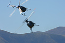 Warbirds Over Wanaka International Airshow 2008