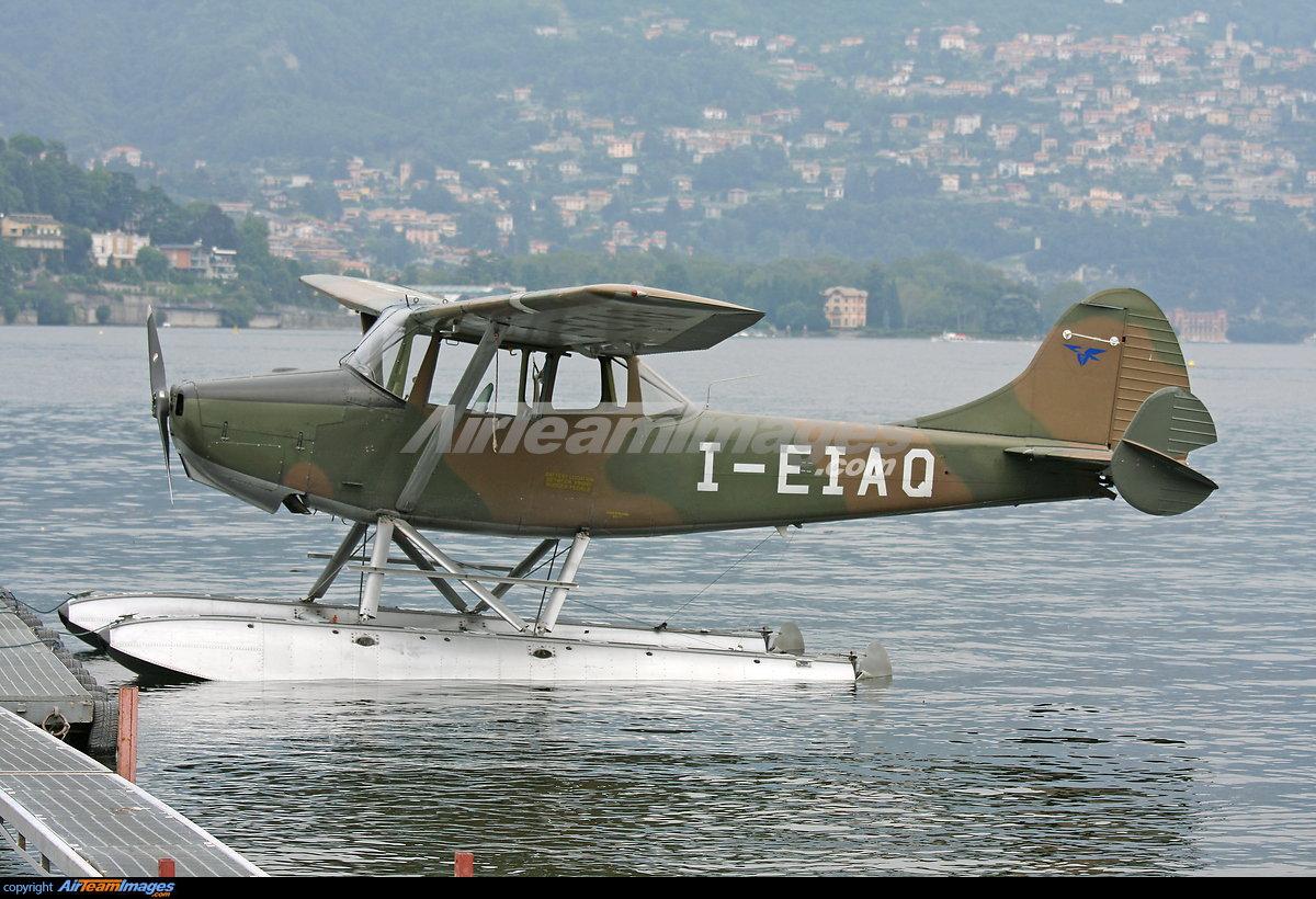 Cessna L19 Bird Dog