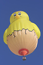 "Barneveld baby-chicken" Chateau D'Oex Balloon Festival 2009