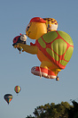 Up Up and away from Innes Common, Hamilton at Waikato Balloon Festival...