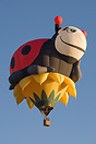 Take off from Innes Common, Hamilton on the first day of Waikato Ballo...